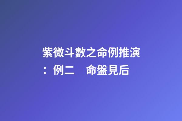 紫微斗數之命例推演：例二　命盤見后